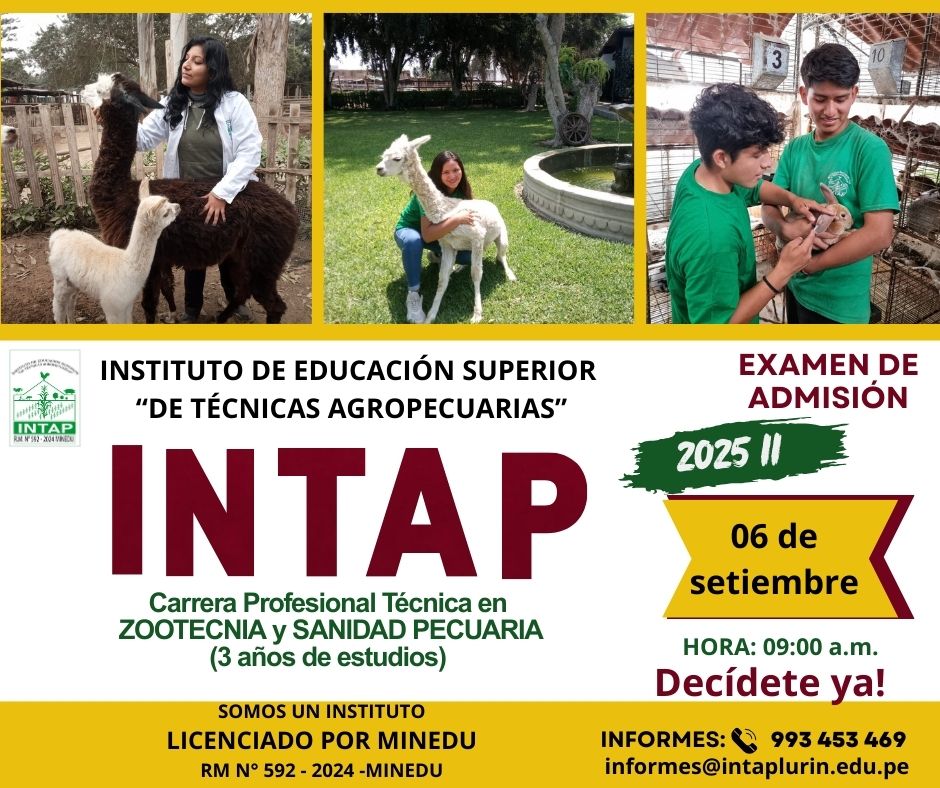 admision 2025 i
